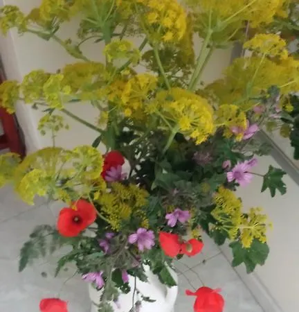 Bed & Breakfast Porta Matera Altamura