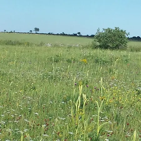 Porta Matera Bed & Breakfast