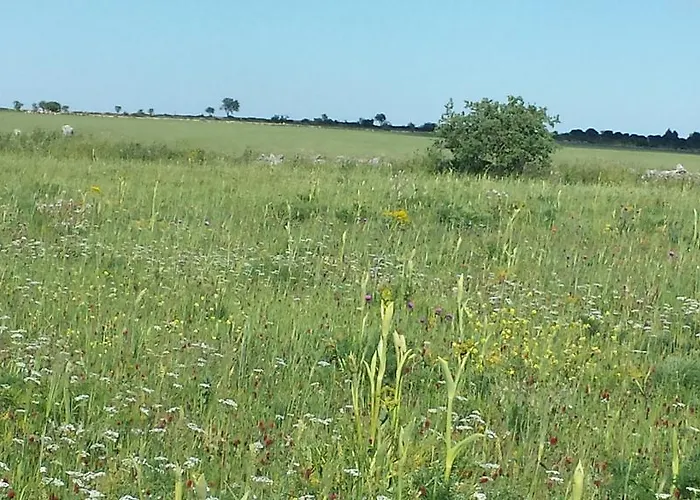 Porta Matera Couette-café